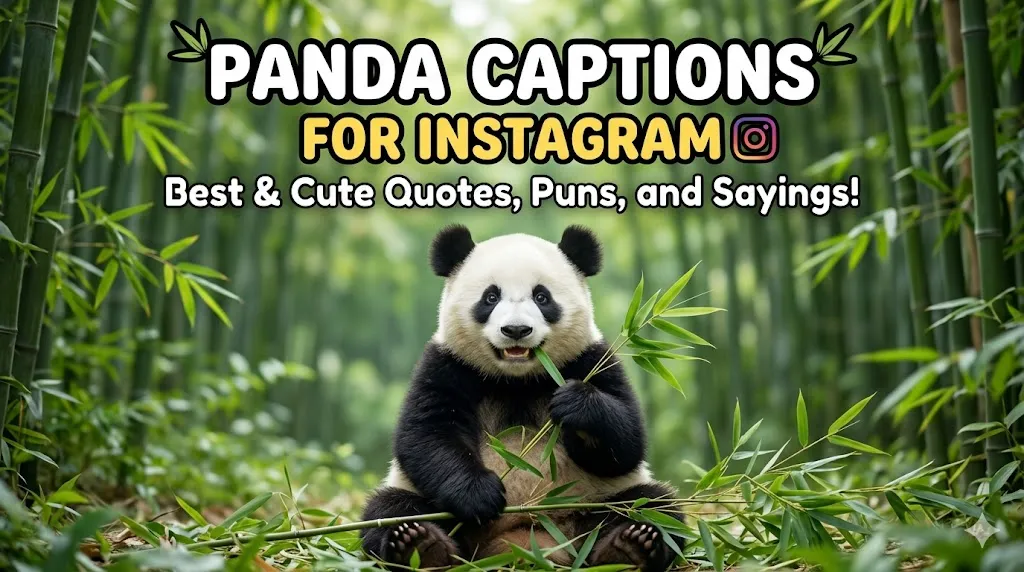 Panda Captions For Instagram