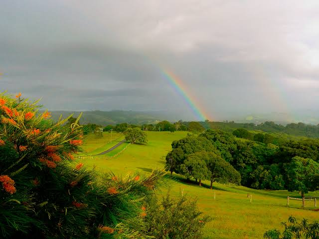 Rainbow Captions For Instagram