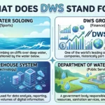DWS Meaning